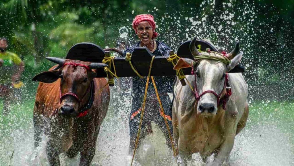 Bail Jodi Yojana: परंपरागत किसानों के लिए सरकार की 30,000 रुपये की सौगात