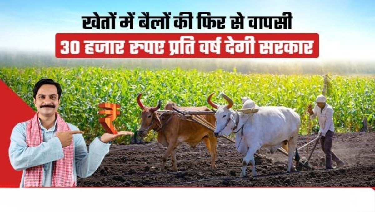 Bail Jodi Yojana: परंपरागत किसानों के लिए सरकार की 30,000 रुपये की सौगात