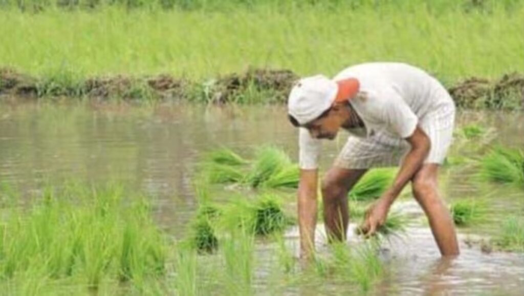 किसानों के चेहरे पर मुस्कान: आ रही है PM Kisan Yojana की 20वीं किस्त