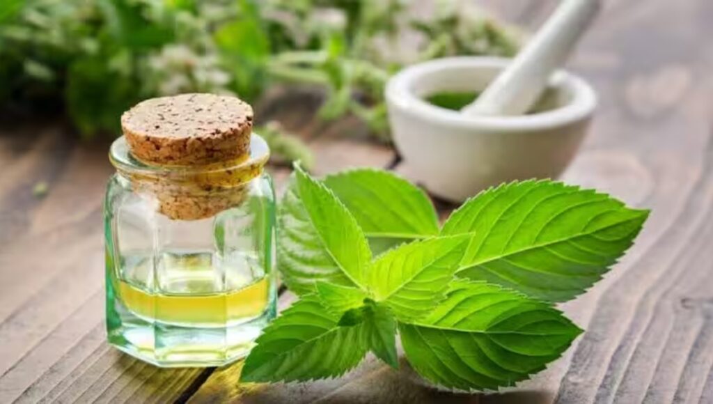 Gem Aromatics IPO में जबरदस्त उत्साह तीसरे दिन 30 गुना सब्सक्रिप्शन