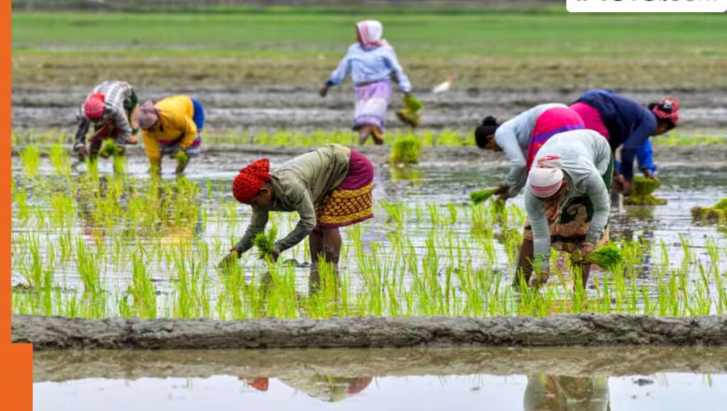 PM Dhan Dhanya Krishi Yojana: किसानों के लिए खुशखबरी, जानिए कौन उठा सकेगा इस योजना का लाभ
