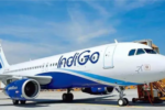 indigo flight cancellations
